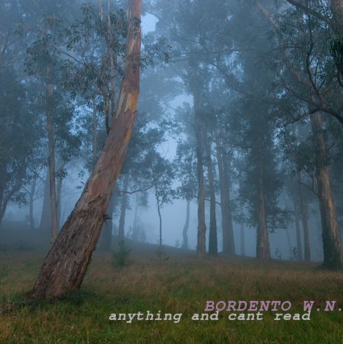 Trees through mist with the title at the bottom right